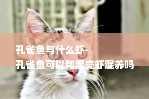 孔雀魚與什么蝦-
孔雀魚可以和黑殼蝦混養嗎