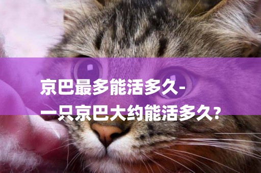 京巴最多能活多久-
一只京巴大約能活多久?