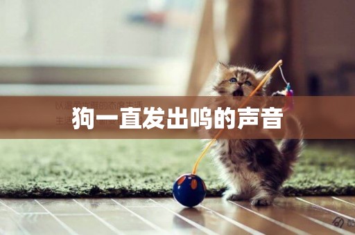 狗一直發出嗚的聲音