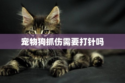 寵物狗抓傷需要打針嗎