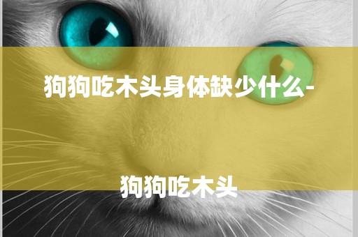 狗狗吃木頭身體缺少什么-
狗狗吃木頭