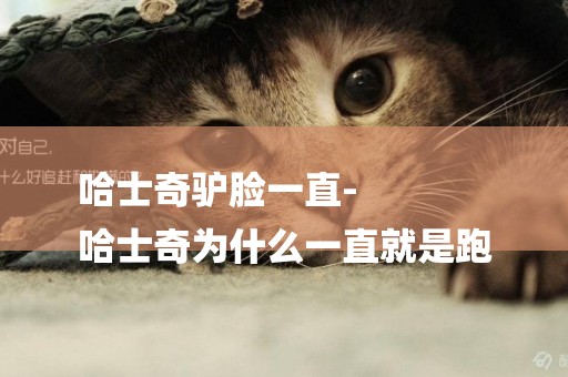 哈士奇驢臉一直-
哈士奇為什么一直就是跑