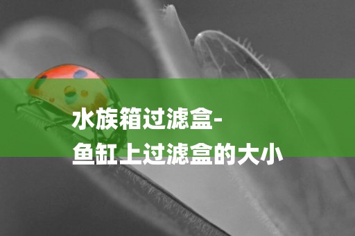 水族箱過濾盒-
魚缸上過濾盒的大小