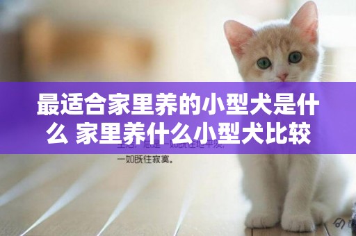 最適合家里養的小型犬是什么 家里養什么小型犬比較好
