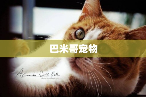 巴米哥寵物