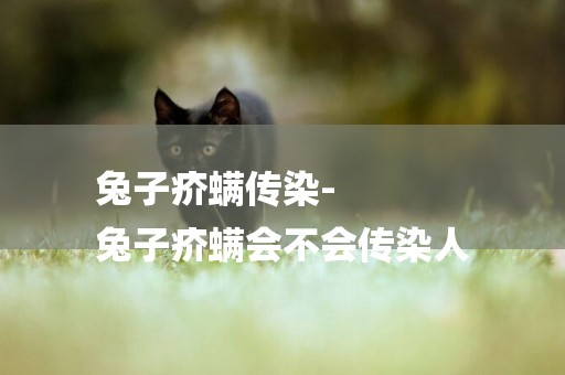 兔子疥螨傳染-
兔子疥螨會不會傳染人