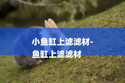 小魚缸上濾濾材-
魚缸上濾濾材