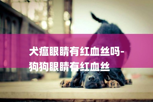 犬瘟眼睛有紅血絲嗎-
狗狗眼睛有紅血絲