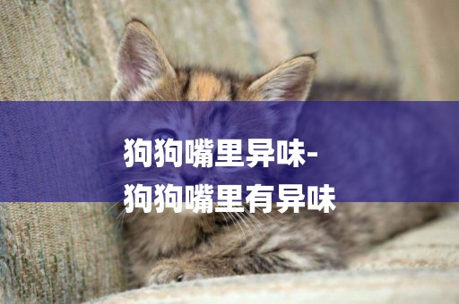 狗狗嘴里異味-
狗狗嘴里有異味