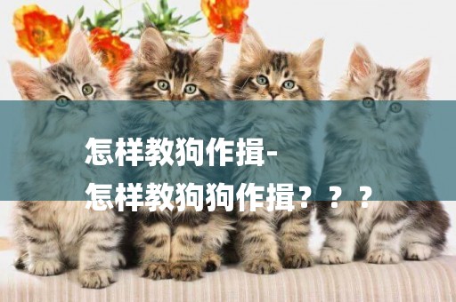 怎樣教狗作揖-
怎樣教狗狗作揖？？？