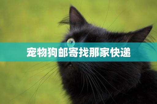 寵物狗郵寄找那家快遞