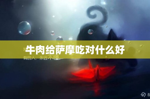 牛肉給薩摩吃對什么好