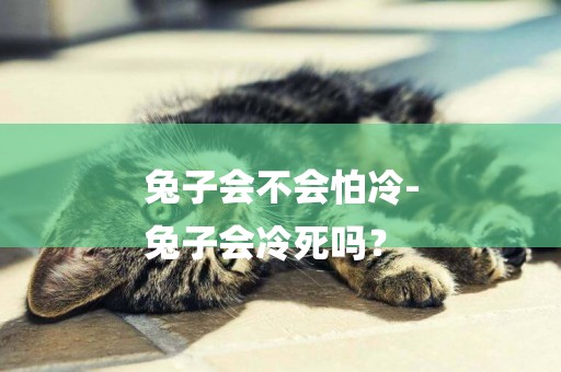 兔子會不會怕冷-
兔子會冷死嗎？