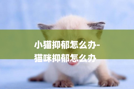 小貓抑郁怎么辦-
貓咪抑郁怎么辦