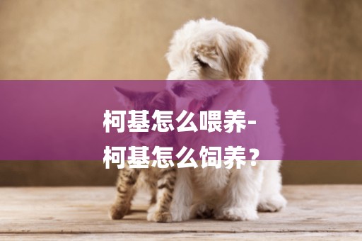 柯基怎么喂養-
柯基怎么飼養？