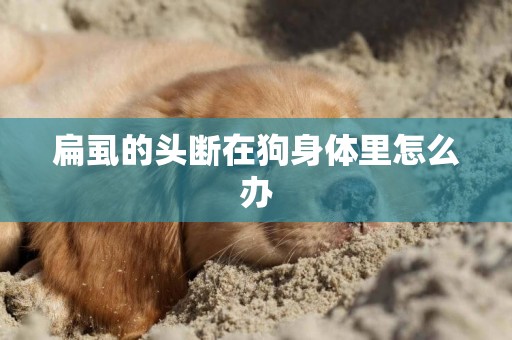扁虱的頭斷在狗身體里怎么辦