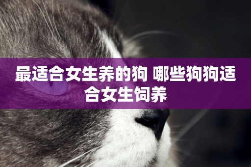 最適合女生養的狗 哪些狗狗適合女生飼養