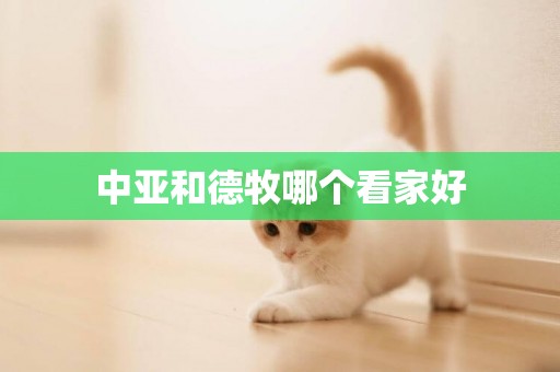 中亞和德牧哪個看家好