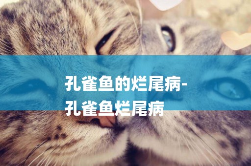 孔雀魚的爛尾病-
孔雀魚爛尾病