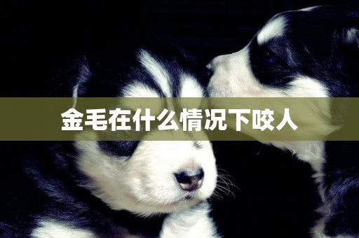 金毛在什么情況下咬人