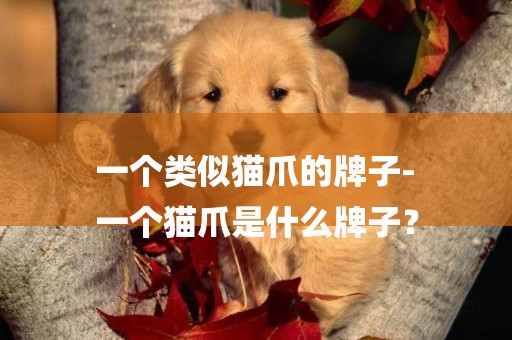 一個類似貓爪的牌子-
一個貓爪是什么牌子？