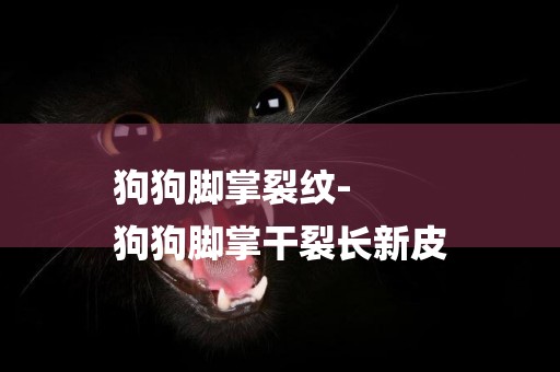 狗狗腳掌裂紋-
狗狗腳掌干裂長新皮