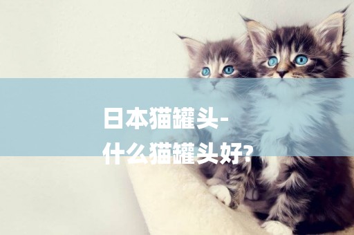日本貓罐頭-
什么貓罐頭好?