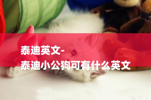 泰迪英文-
泰迪小公狗可有什么英文