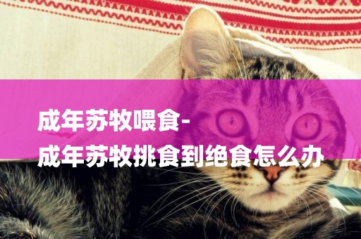 成年蘇牧喂食-
成年蘇牧挑食到絕食怎么辦
