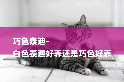 巧色泰迪-
白色泰迪好養還是巧色好養