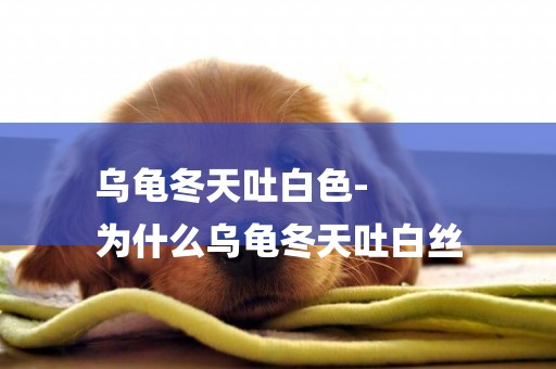 烏龜冬天吐白色-
為什么烏龜冬天吐白絲