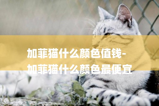 加菲貓什么顏色值錢-
加菲貓什么顏色最便宜