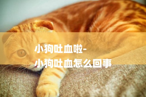 小狗吐血啦-
小狗吐血怎么回事