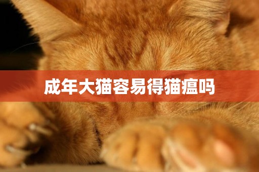 成年大貓容易得貓瘟嗎