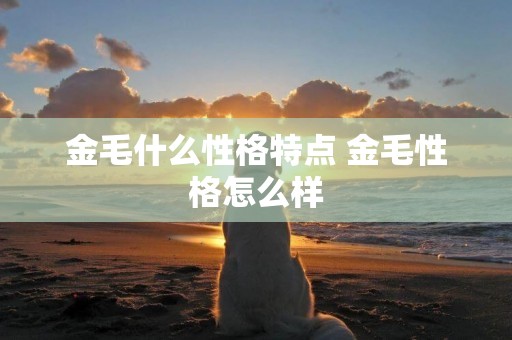 金毛什么性格特點 金毛性格怎么樣