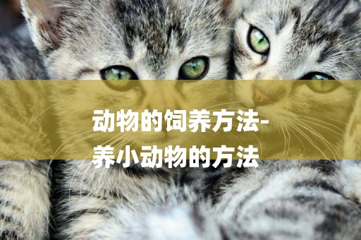 動物的飼養方法-
養小動物的方法