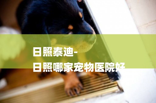 日照泰迪-
日照哪家寵物醫院好