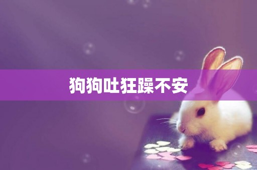 狗狗吐狂躁不安