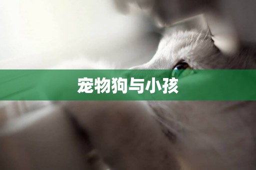 寵物狗與小孩
