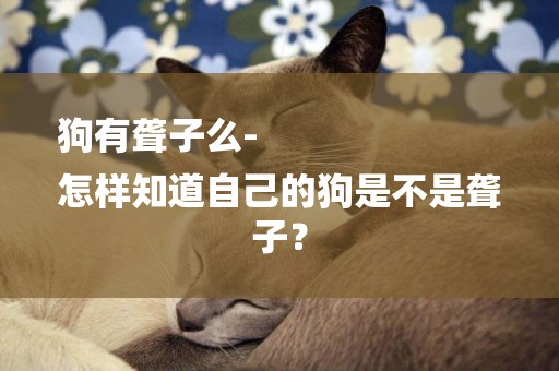 狗有聾子么-
怎樣知道自己的狗是不是聾子？