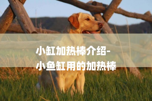 小缸加熱棒介紹-
小魚缸用的加熱棒