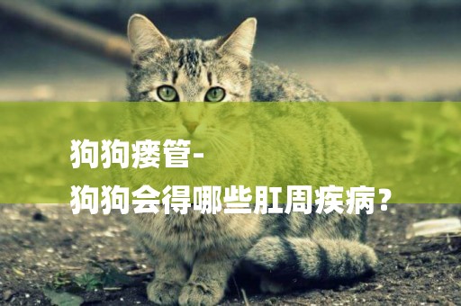 狗狗瘺管-
狗狗會得哪些肛周疾病？