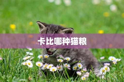 卡比哪種貓糧