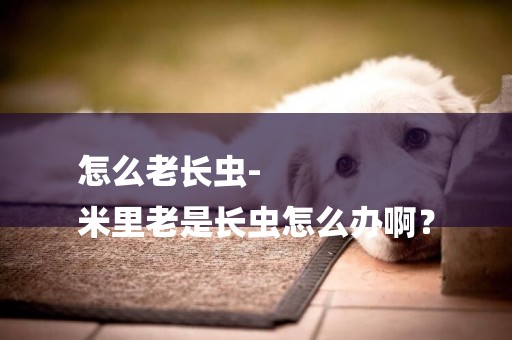 怎么老長蟲-
米里老是長蟲怎么辦啊？