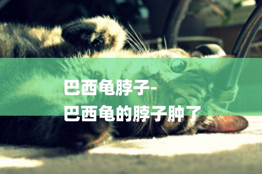 巴西龜脖子-
巴西龜的脖子腫了