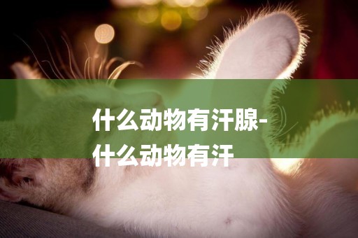 什么動物有汗腺-
什么動物有汗