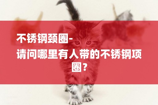不銹鋼頸圈-
請問哪里有人帶的不銹鋼項圈？