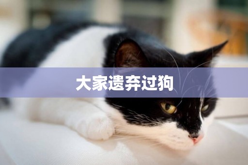 大家遺棄過狗