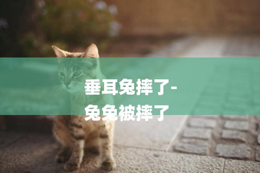 垂耳兔摔了-
兔兔被摔了