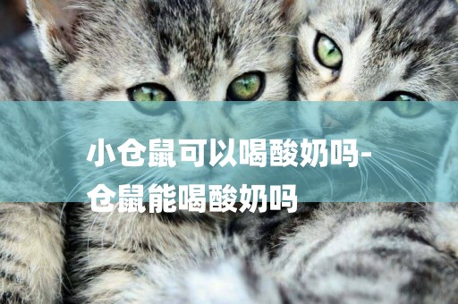 小倉鼠可以喝酸奶嗎-
倉鼠能喝酸奶嗎
